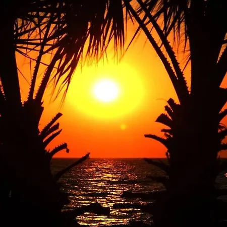 ホテル Ekin クシャダス